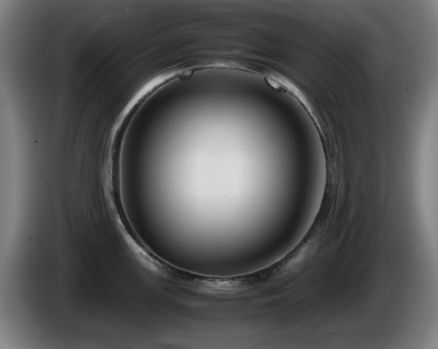 X0000086091147200703301145