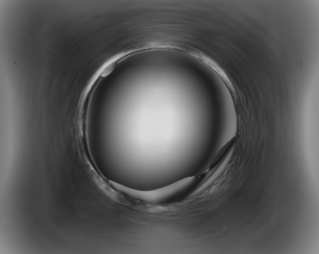 X0000086091148200703301145