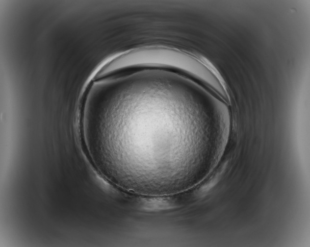 X0000086091149200703301145