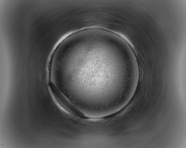 X0000086091151200703301145