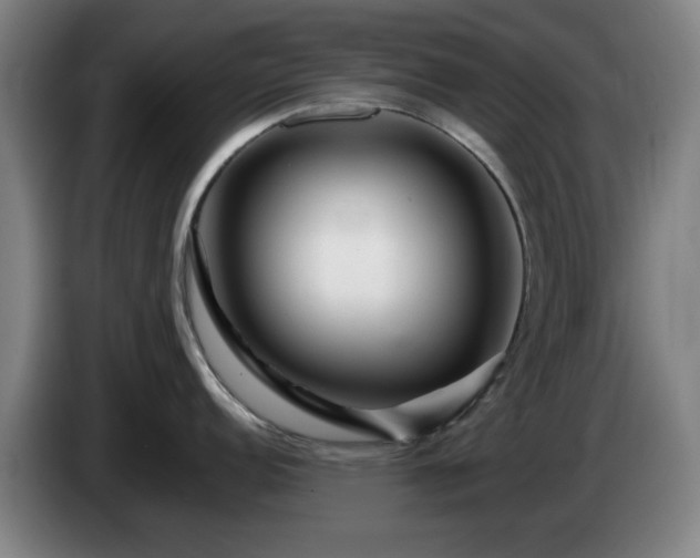 X0000086091152200703301145