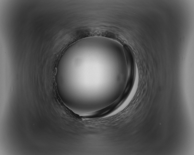 X0000086091153200703301145