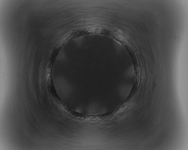 X0000086091154200703301145