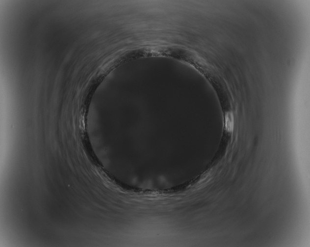 X0000086091155200703301145