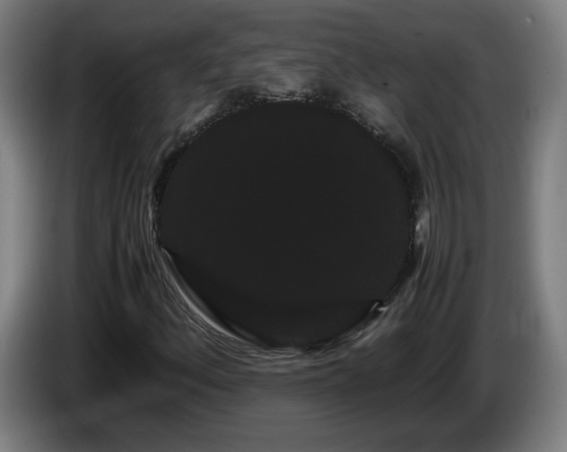 X0000086091156200703301145