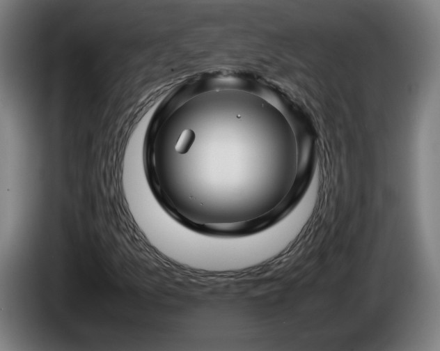 X0000086091157200703301145