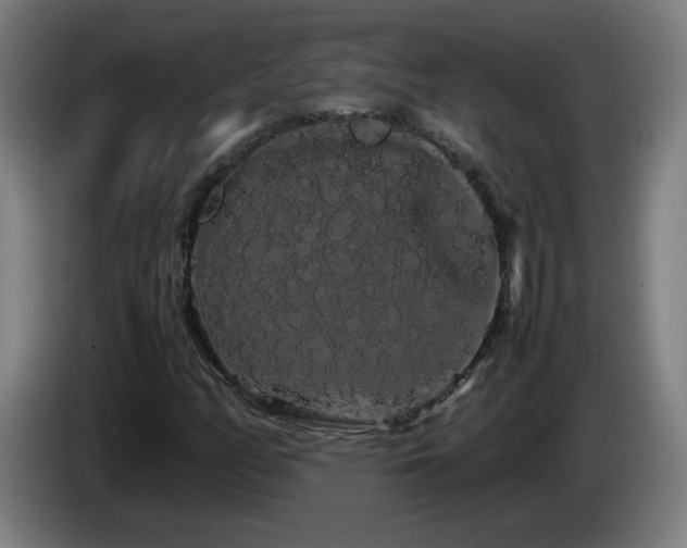 X0000086091158200703301145