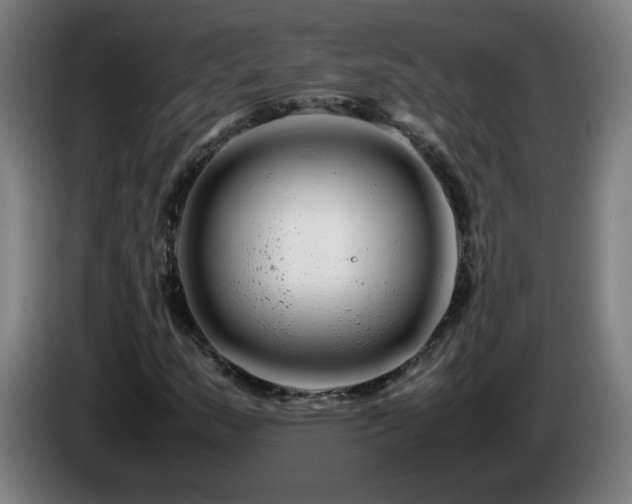 X0000086091159200703301145