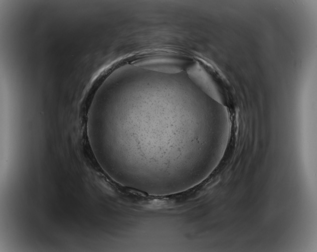 X0000086091160200703301145