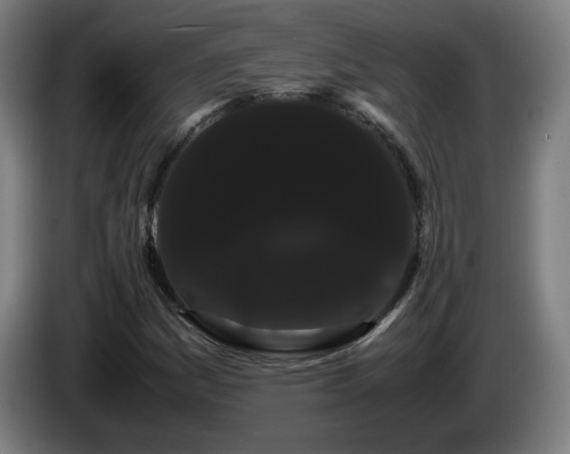 X0000086091161200703301144