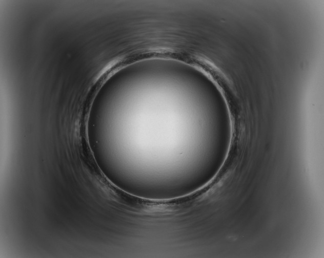 X0000086091162200703301144