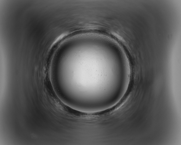 X0000086091163200703301144