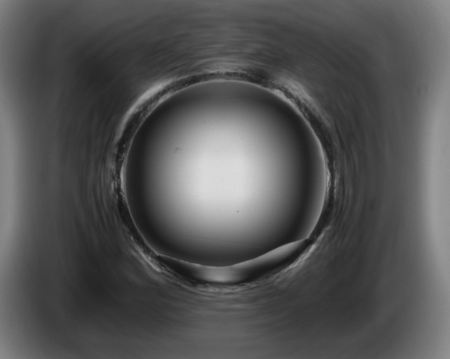 X0000086091164200703301144