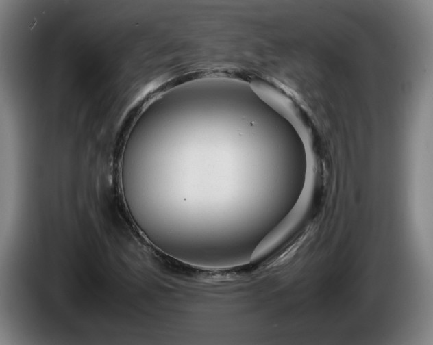 X0000086091165200703301144