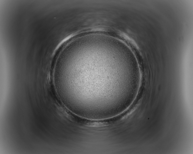 X0000086091166200703301144