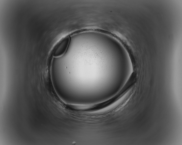 X0000086091167200703301144