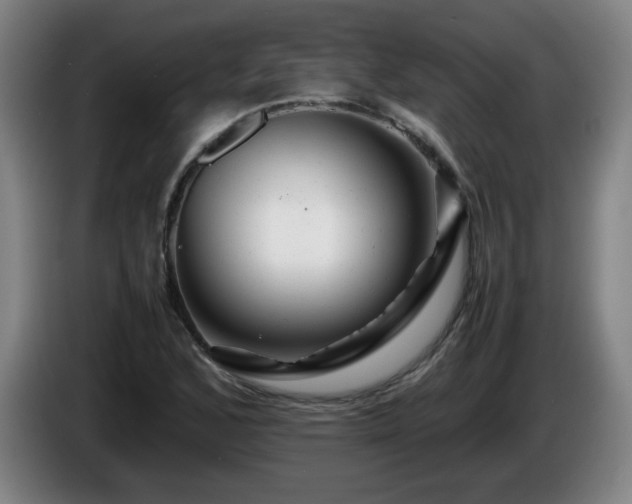 X0000086091168200703301144