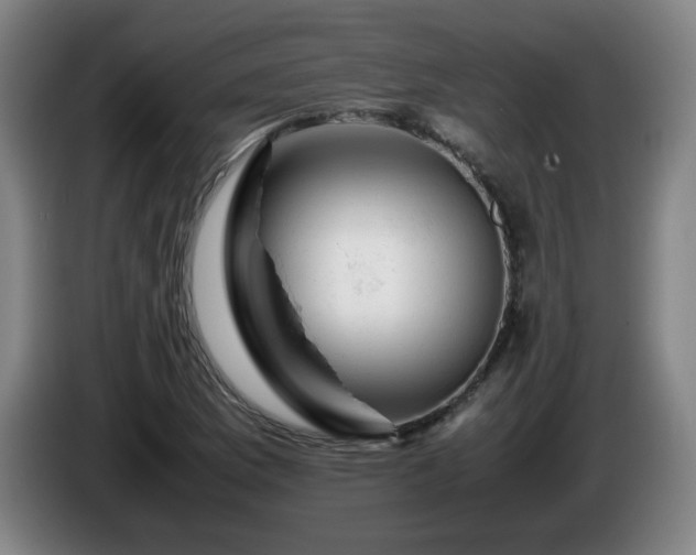 X0000086091169200703301144