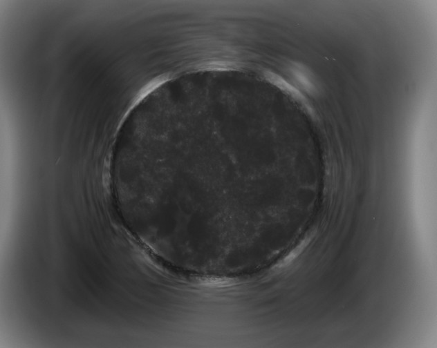 X0000086091170200703301144