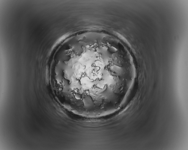 X0000086091171200703301144