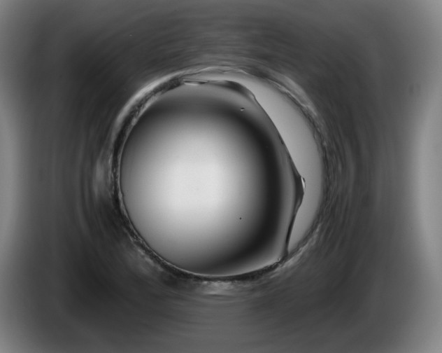 X0000086091172200703301144