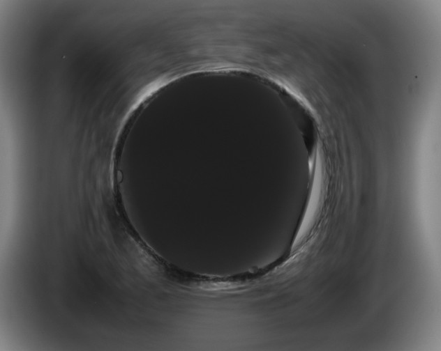 X0000086091173200703301144