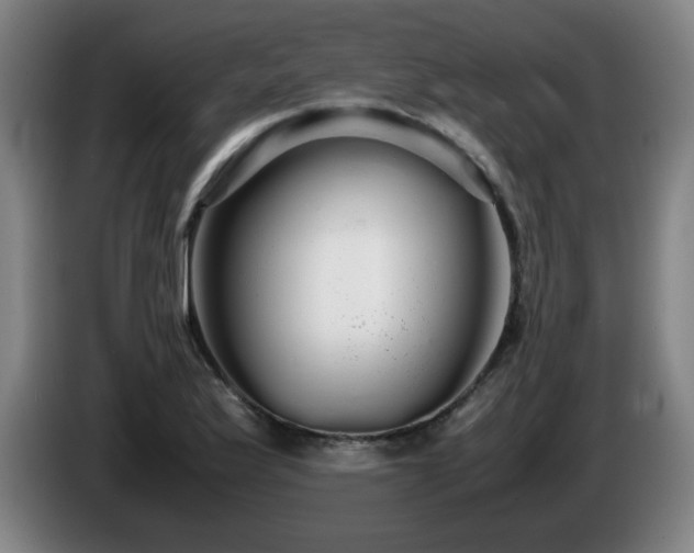 X0000086091175200703301144