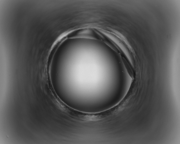 X0000086091176200703301144