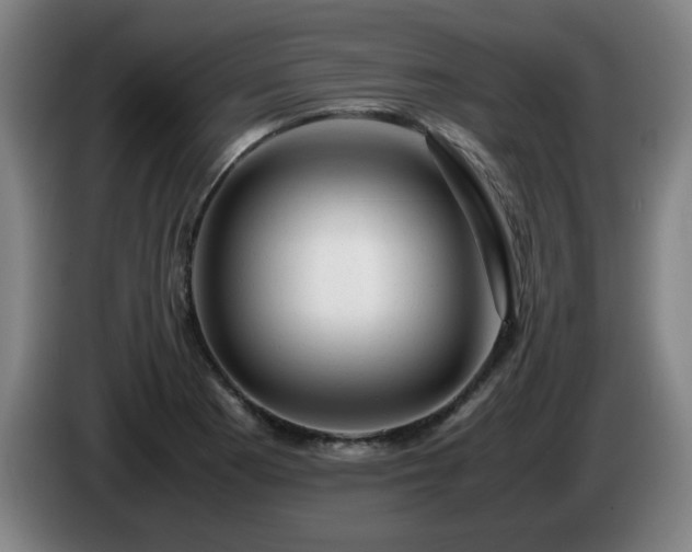 X0000086091177200703301144