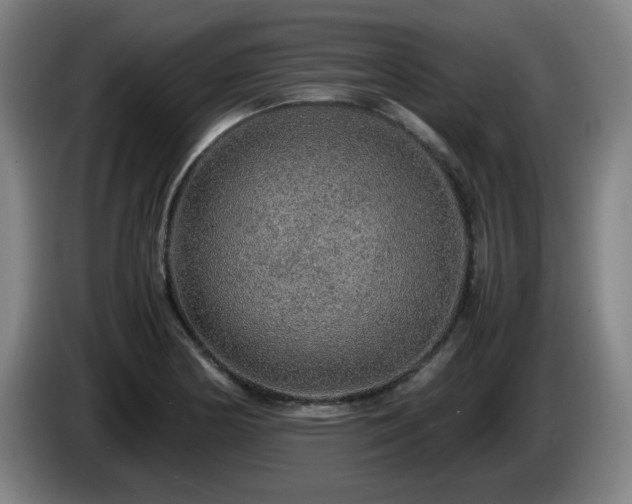 X0000086091178200703301144