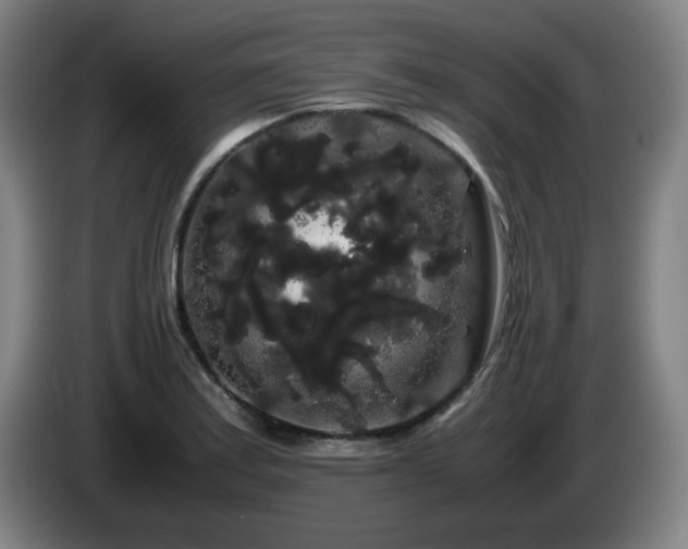 X0000086091179200703301144