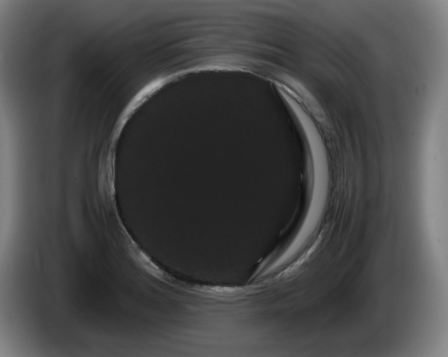 X0000086091180200703301144