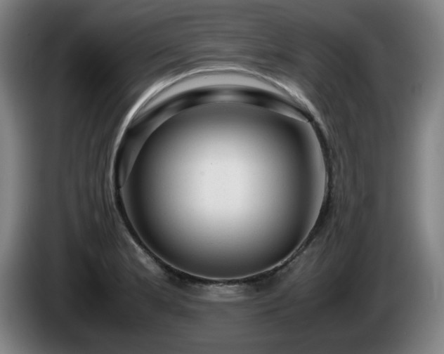 X0000086091181200703301144