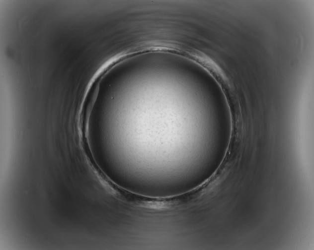 X0000086091182200703301144