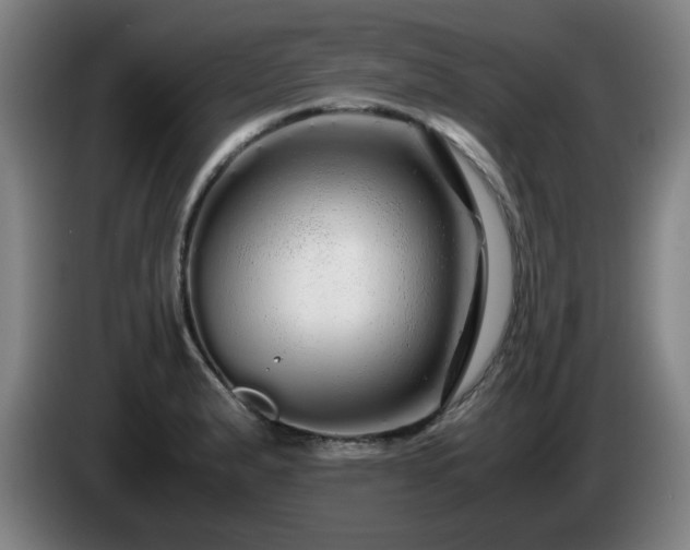 X0000086091183200703301144