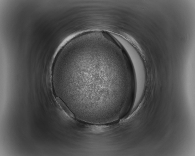 X0000086091184200703301144