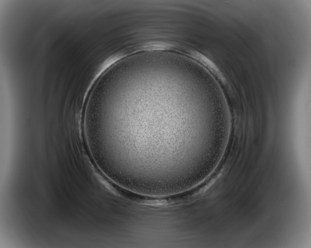 X0000086091186200703301144