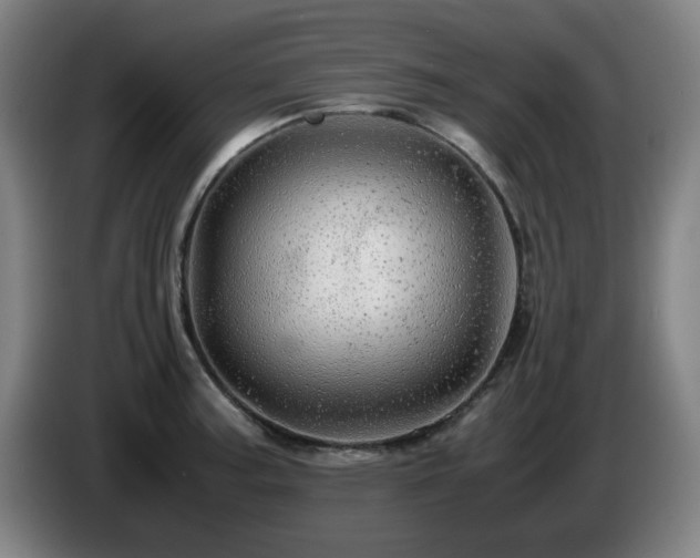 X0000086091187200703301144