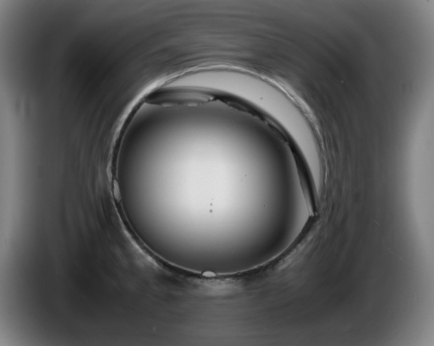 X0000086091189200703301144