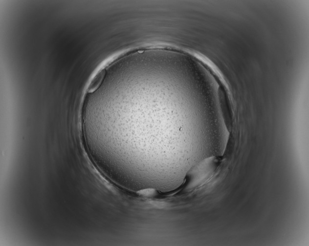 X0000086091191200703301144