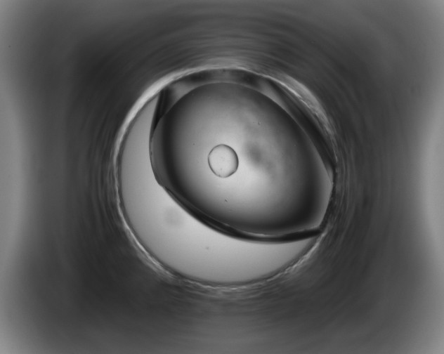 X0000086091192200703301144