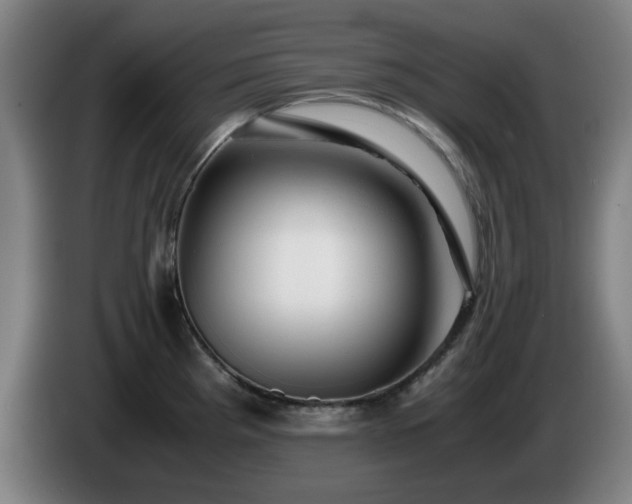 X0000086091193200703301144