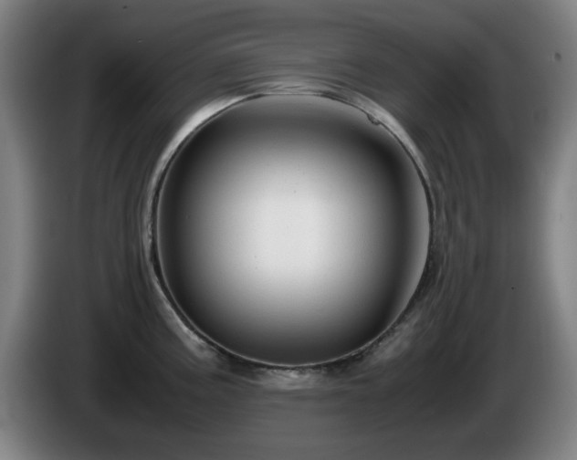 X0000086091195200703301144