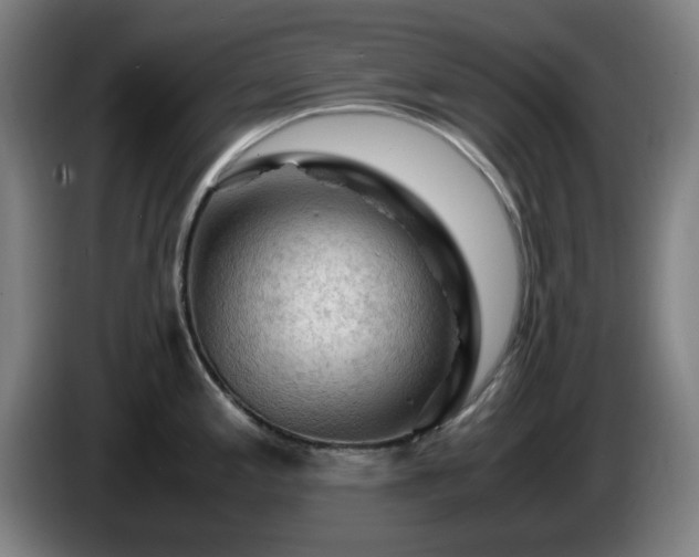 X0000086091197200703301144