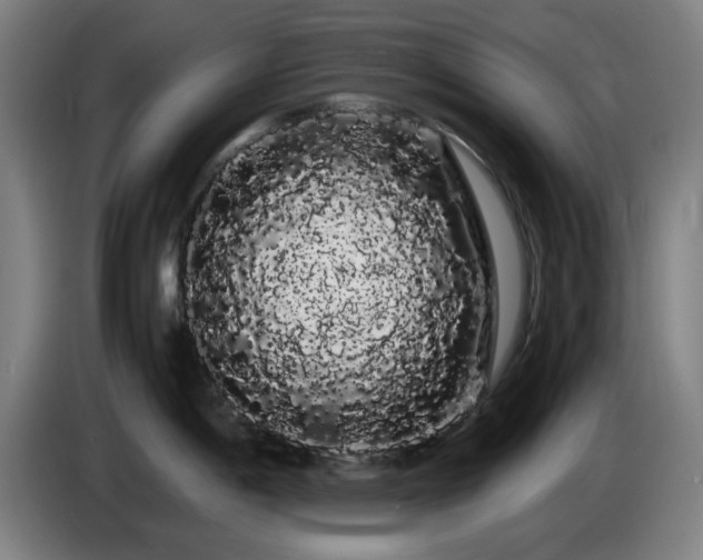 X0000086091198200703301144