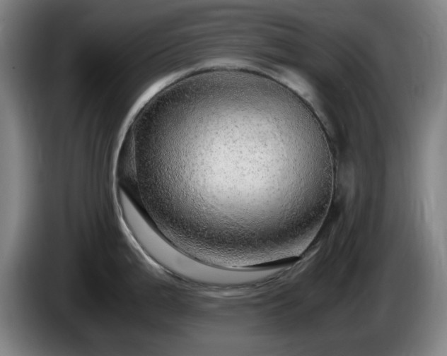 X0000086091199200703301144