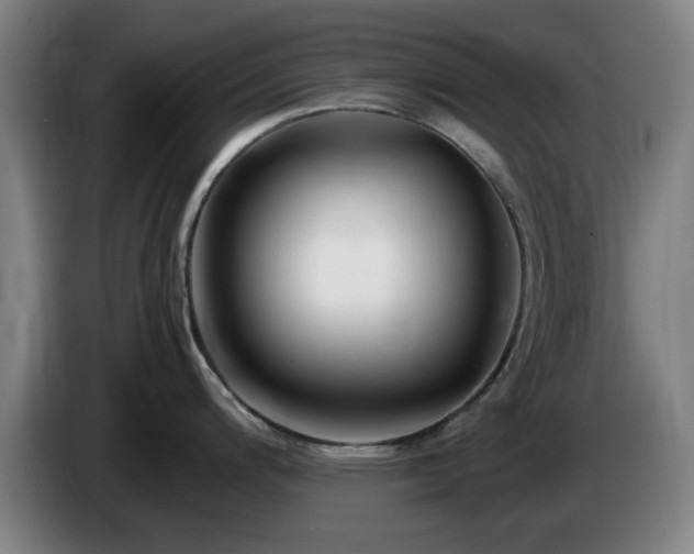 X0000086091200200703301144