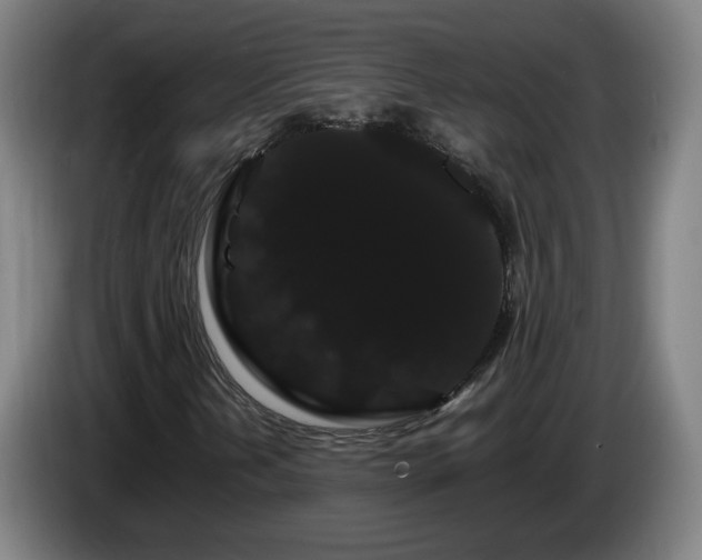 X0000086091202200703301143