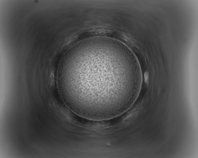 X0000086091203200703301143