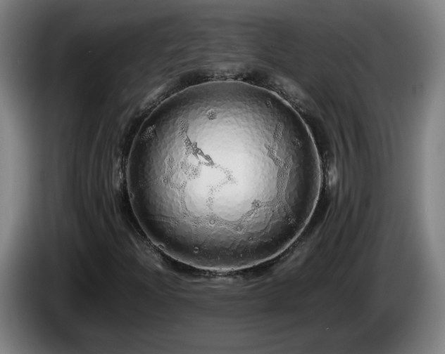 X0000086091204200703301143